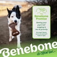 thumbnail image 6 of Benebone Dental Durable Dog Chew Toy for Aggressive Chewers, Real Chicken, Large, 6 of 6