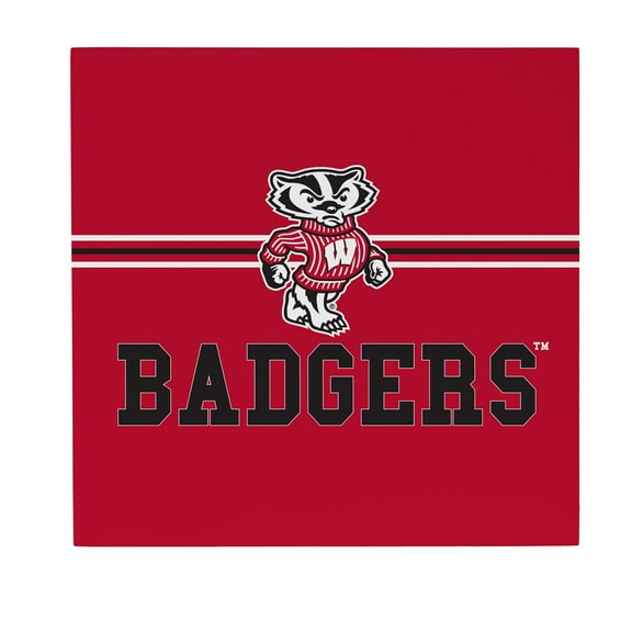 Wisconsin Badgers 12" x 12" Wood Wall Sign