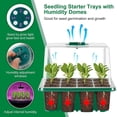 thumbnail image 4 of Full Spectrum Grow Lights with Seedling Trays with Humidity Dome Greenhouse Germination Propagation, 4 of 7