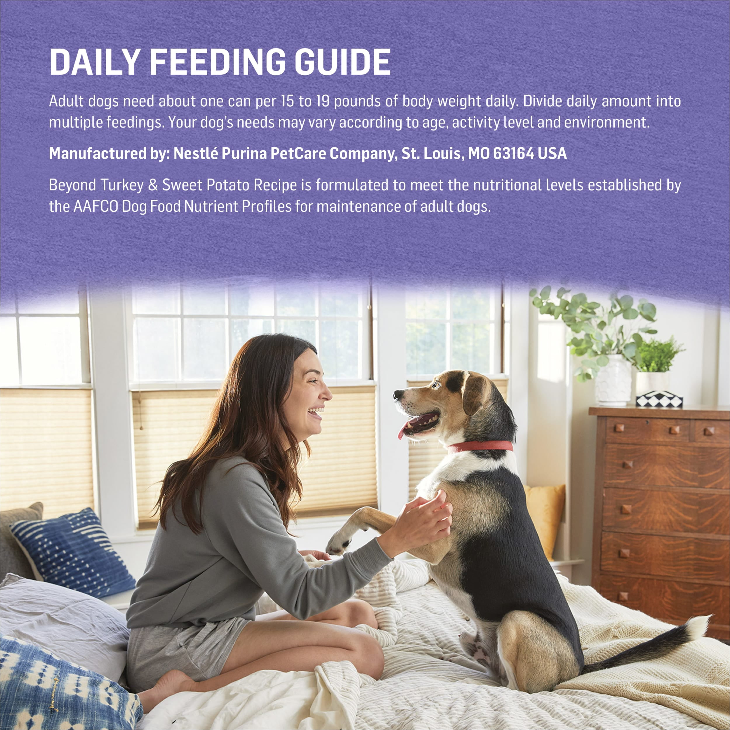 (3 pack) Purina Beyond Ground Entree Wet Dog Food Natural Soft Grain Free Turkey & Sweet Potato, 13 oz Can