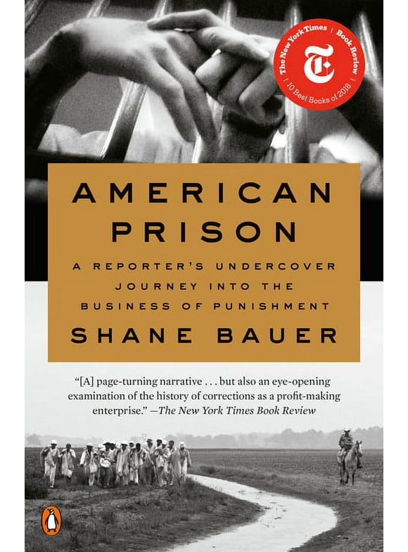 American Prison : A Reporter's Undercover Journey into the Business of Punishment (Paperback)