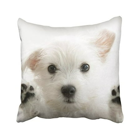 Decorative Pillows Dogs WinHome Decorative Decorative King Pillow Case Animals dogs furry s paws Size 18x18 inches Two Side ()