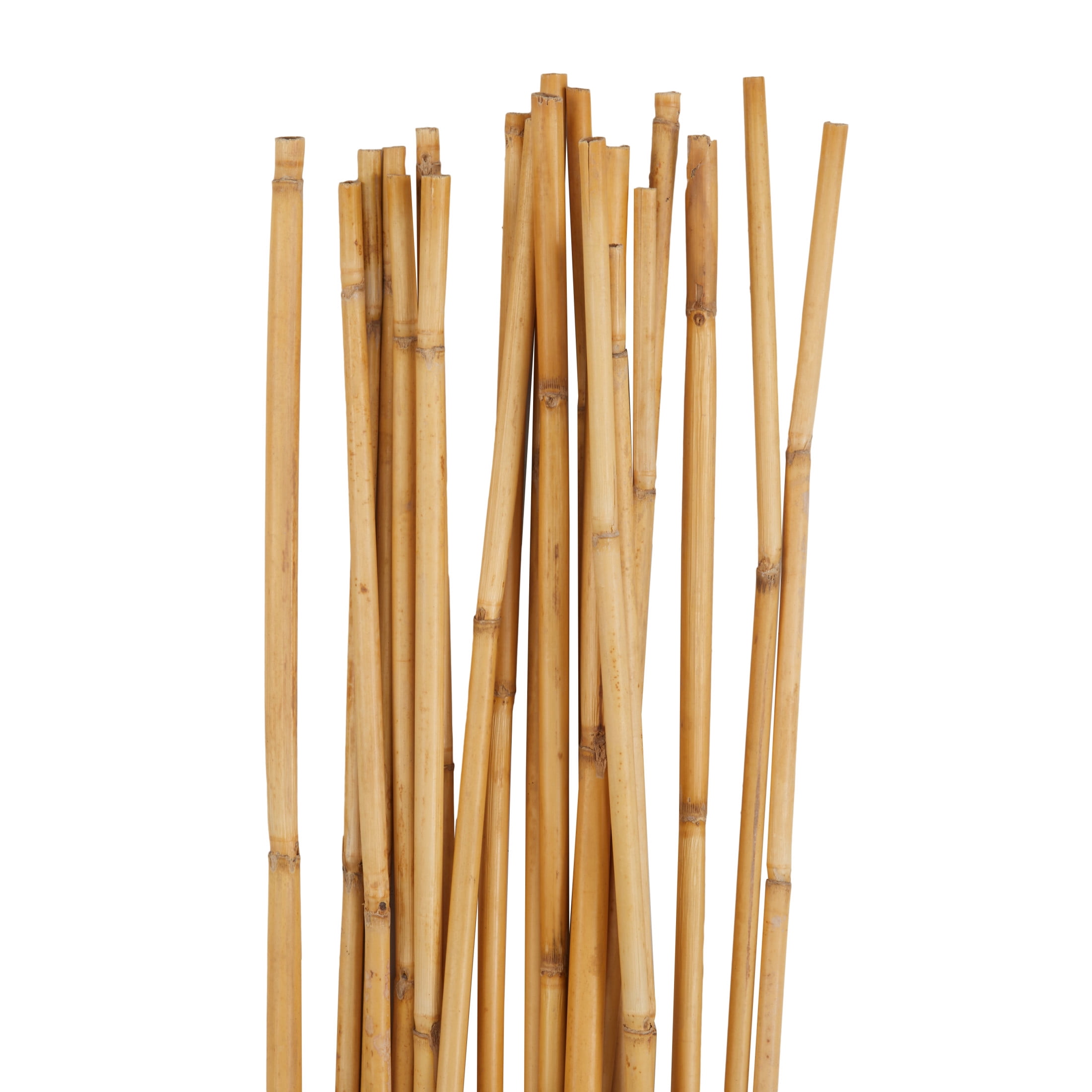 58" Tall Sticks Bamboo Wood Natural Foliage Bouquet, by DecMode