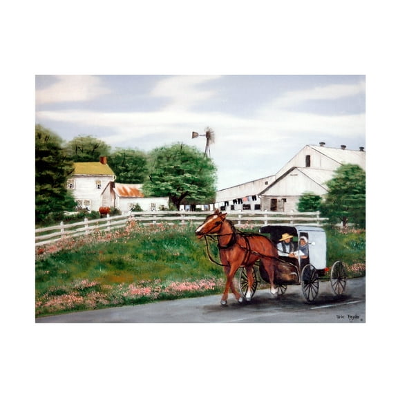 Trademark Fine Art Arie Reinhardt Taylor Amish Country 1 Canvas Wall Art - 14x19