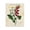 Aged French Botanical Flowers, variant on Stupell Industries Cottage Woodland Wildlife Study Canvas Art, 16 x 20, by Grace Popp