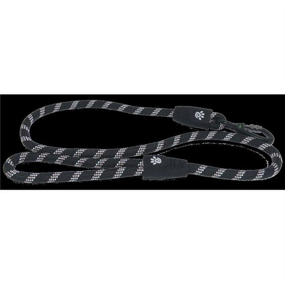 Doco DCROPE5060-18L 5 ft. Reflective Rope Leash with Soft Rubber Handle, Raspberry Pink - Large