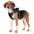 thumbnail image 7 of Filbert Dog Harness Large Sized Dog, Step-in Reflective Harness Large Sized Dogs, Mesh Vest, Adjustable, Soft, High Reflectivity, Breathable Fabric, Heavy Duty, Black, 7 of 7
