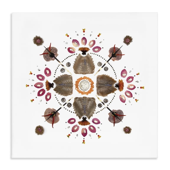 Stupell Industries Symmetrical Nautical Collection Canvas Wall Art, design by Beth Adoette
