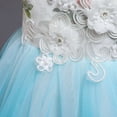 thumbnail image 6 of Fesfesfes Toddler Kid Girl Sleeveless Tulle Dress Lace Princess Gown Party Dress Cosplay Clothes Spring, 6 of 9