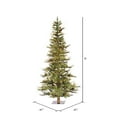 thumbnail image 3 of Vickerman 6' Ashland Artificial Christmas Tree, Warm White Dura-lit LED Lights, 3 of 5
