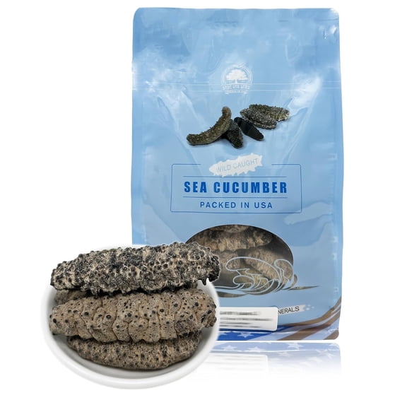 DABC OAK LAND Dried Sea Cucumber Wild Caught,Sun Dried Mexico Black Pin Sea Cucumber All Natural Nutritious Large - 1LB - Bag