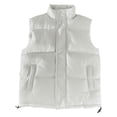 thumbnail image 1 of Men's Autumn And Winter Leisure Warm Vest Solid Color Vest, 1 of 5