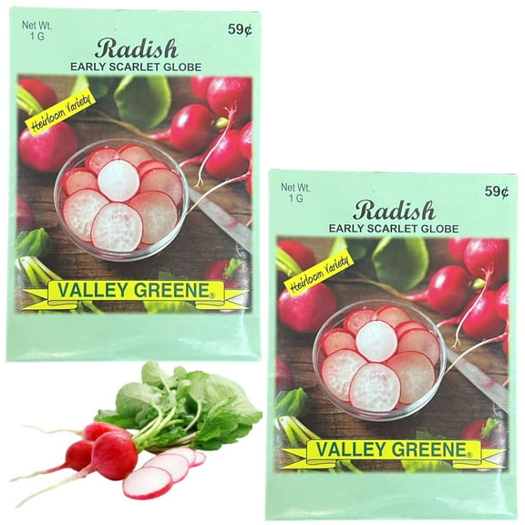 Valley Greene 1g Radish Early Scarlet Globe Seeds: 2CT