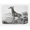 thumbnail image 1 of Giraffe Bath Mat, Engraving Natural History Trees Hills Pattern on Plain Background, Plush Bathroom Decor Mat with Non Slip Backing, 29.5" X 17.5", White and Charcoal Grey, by Ambesonne, 1 of 2