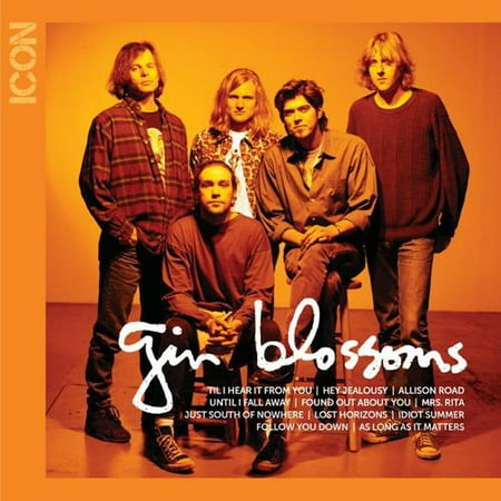 Icon Series: Gin Blossoms