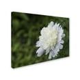 thumbnail image 2 of Trademark Fine Art "White Peony" Canvas Art by Kurt Shaffer, 2 of 3