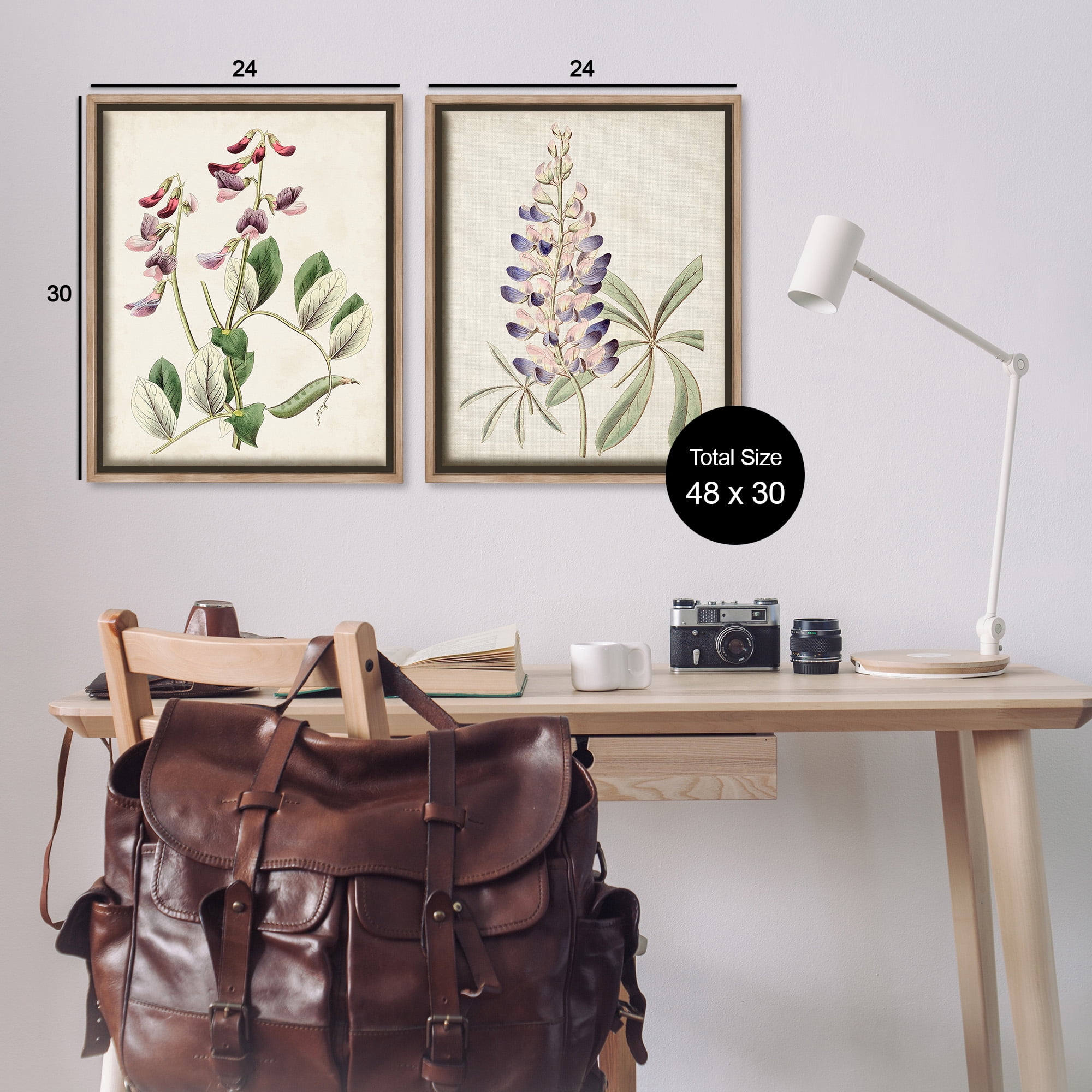 Stupell Industries Foxglove Latin Studies Botanical & Floral Painting Brown Floater Framed Canvas Art Print Wall Art, 25 x 31, Set of 2