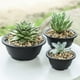 thumbnail image 3 of 10 macetas de plástico para plantas de interior, redondas y gruesas, para viveros., 3 of 6