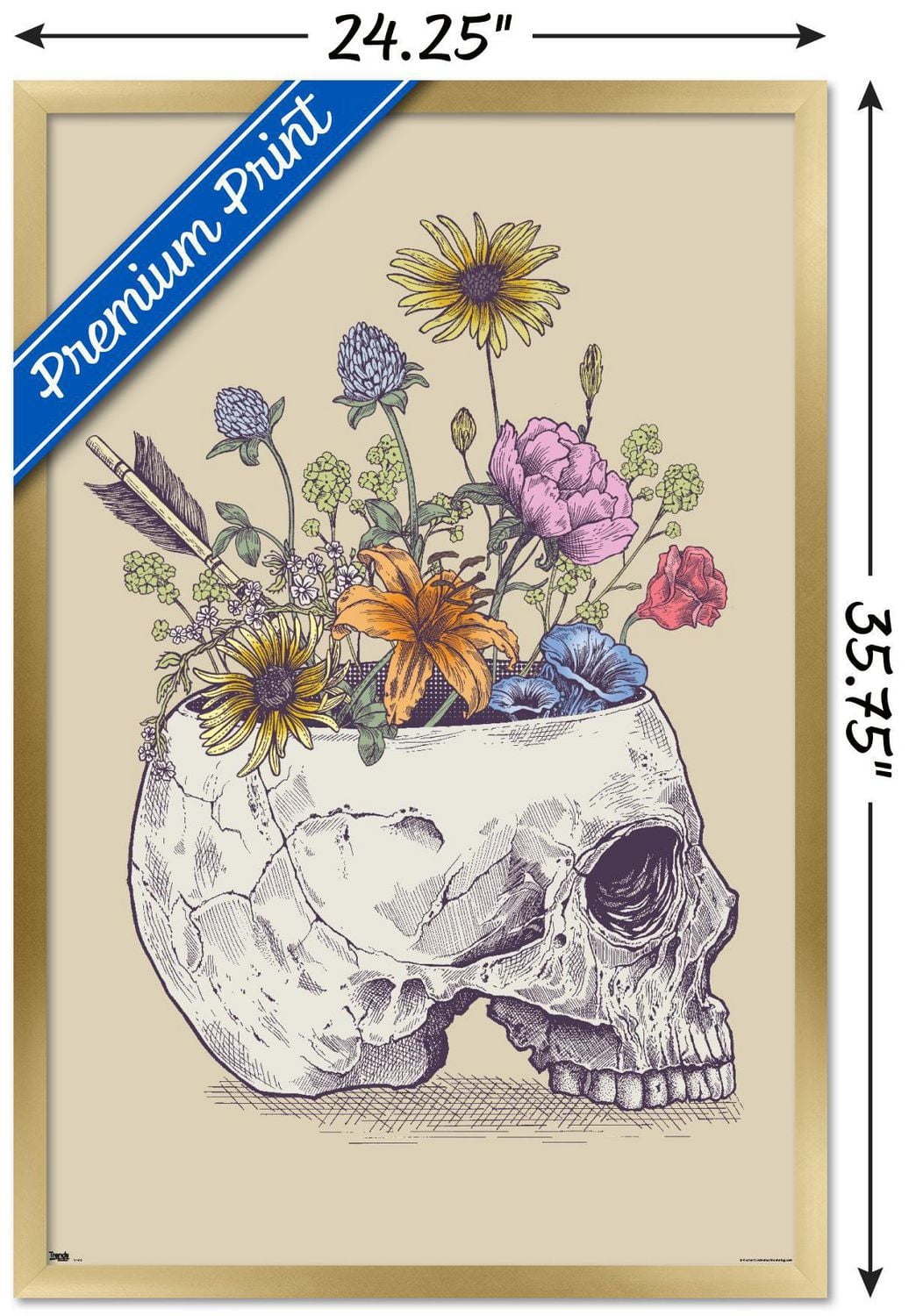 Rachel Caldwell - Crâne de fleur