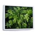 thumbnail image 2 of Designart "Herbal Pottery Delights II" Floral Framed Wall Art - Traditional Green Herbs Bedroom Framed Canvas Wall Art, 2 of 6