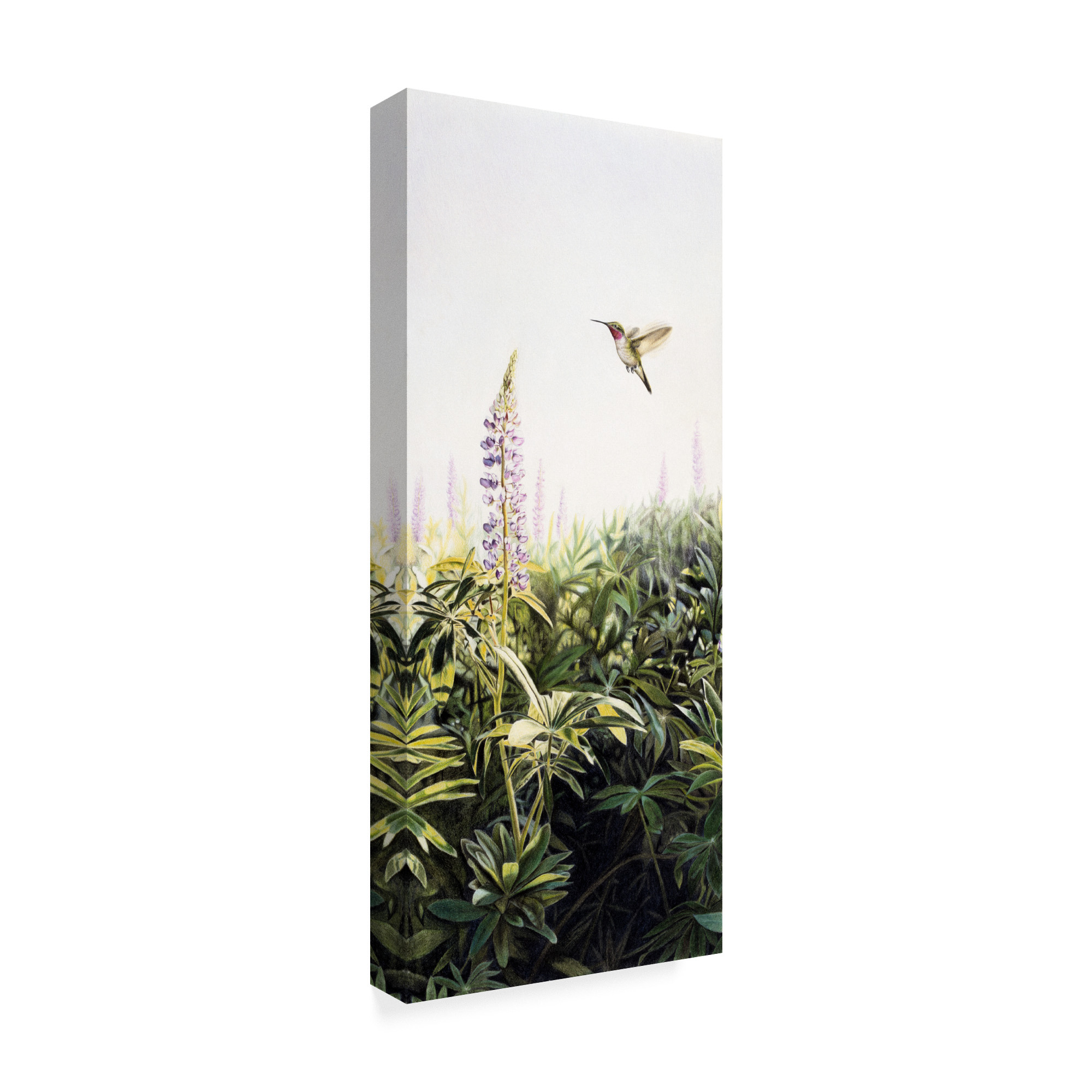Trademark Fine Art 'Hummingbird' Canvas Art by Rusty Frentner