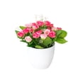 thumbnail image 1 of GreenHome In Real for Home Desk Centerpiece Arrangement, 1 of 5