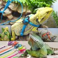 thumbnail image 2 of EDTara Pet Leash Lizard Traction Rope Climbing Pet Leash Walking Control Rope For Reptile Amphibians Chain Version, 2 of 7