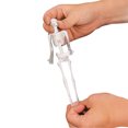 thumbnail image 3 of Stretchy Skeleton - Party Favors - 12 Pieces, 3 of 4