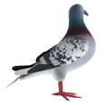 thumbnail image 4 of Adornos de palomas de simulación, palomas de espuma artificiales, mini palomas de simulación de espuma 1pc estilo B, 4 of 9