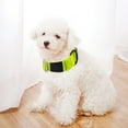 thumbnail image 4 of adjustable dog clip collar, 4 of 5