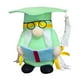 thumbnail image 1 of Gnomos de Graduación Gnomo Tomte Sueco para Decoración de Graduación Figurita Verde Clase de Fiesta Mesa Hogar, 1 of 4