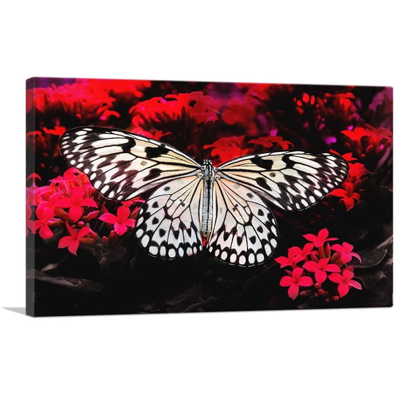 ARTCANVAS White Butterfly Over Red Flowers Canvas Art Print - Size: 26" x 18" (0.75" Deep)