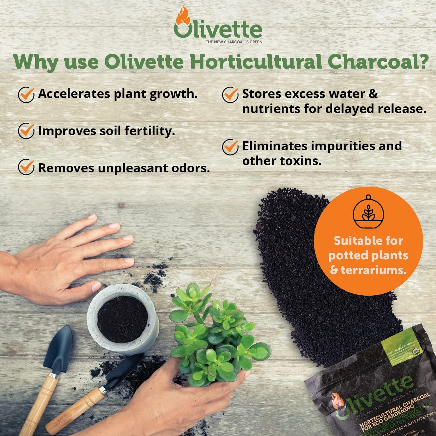 Horticultural Activated Charcoal for Plants by Olivette | Terrarium Horticulture Moisture Absorbers | Terrarium Supplies | USDA Organic Certified | Made from Recycled Olive Tree Byproducts | 3 Bags
