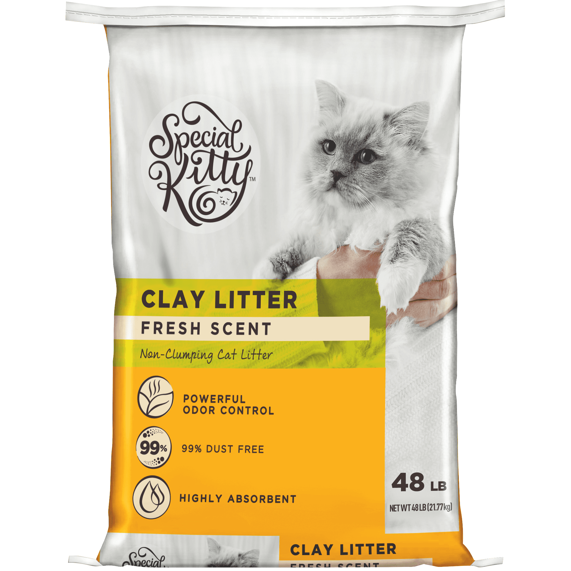 (2 pack) Special Kitty Non-Clumping Clay Cat Litter, Fresh Scent, 48 lb Bag