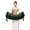 Green, variant on BH-JJSMGS Women's Belly Dance Wave Shape Hip Scarf with Silver Coins Wrap Noisy Belly Dance Costume for Performance