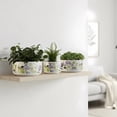 thumbnail image 6 of ShangDemonMaster White Ceramic Planter Set of 3 Indoor Plant Pots Matte Glazed Stoneware 5.9, 4.9 & 3.9 Inch, 6 of 7