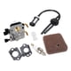 thumbnail image 1 of Inteprter Carburador Carb Part para FS120 FS200 FS250 Lawn Mower Strimmer Iluminación y accesorios tipo 8, 1 of 1