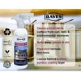 thumbnail image 7 of Bayes Stainless Steel BBQ Cleaner, 16 Oz, 7 of 7