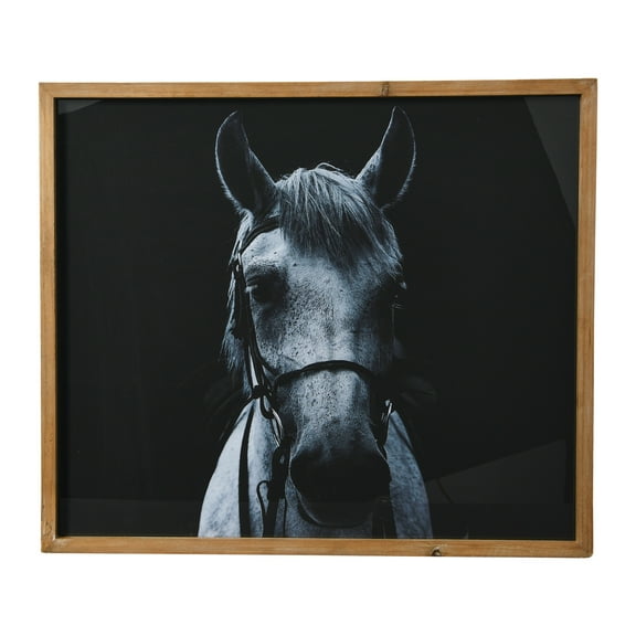 Creative Co-Op Black and White Equestrian Print with Wood Frame and Glass Cover