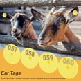 thumbnail image 3 of LAFGUR 100pcs/set Number Ear Tags, Number Tags, Goat Sheep For Breeding Population Cattle Pig Meat Quarantine Epidemic Prevention Or Control, 3 of 8
