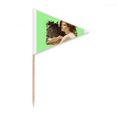 thumbnail image 1 of sagittarius agriculture kingship sp Toothpick Triangle Cupcake Toppers Flag, 1 of 3