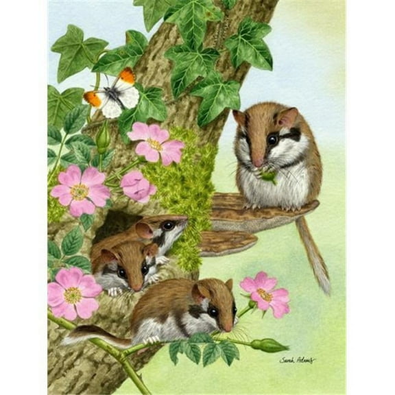 Dormice Dormouse Flag Garden Size