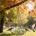 thumbnail image 6 of Hanging Bird Bath Feeder Food Tray Birds Feeds for Feeding Hummingbird, Bluebird, Cardinal, Squirrels, Doves, Seed Holder, Outside Outdoor Garden Decoration for Attracting Wild Birds, 6 of 6