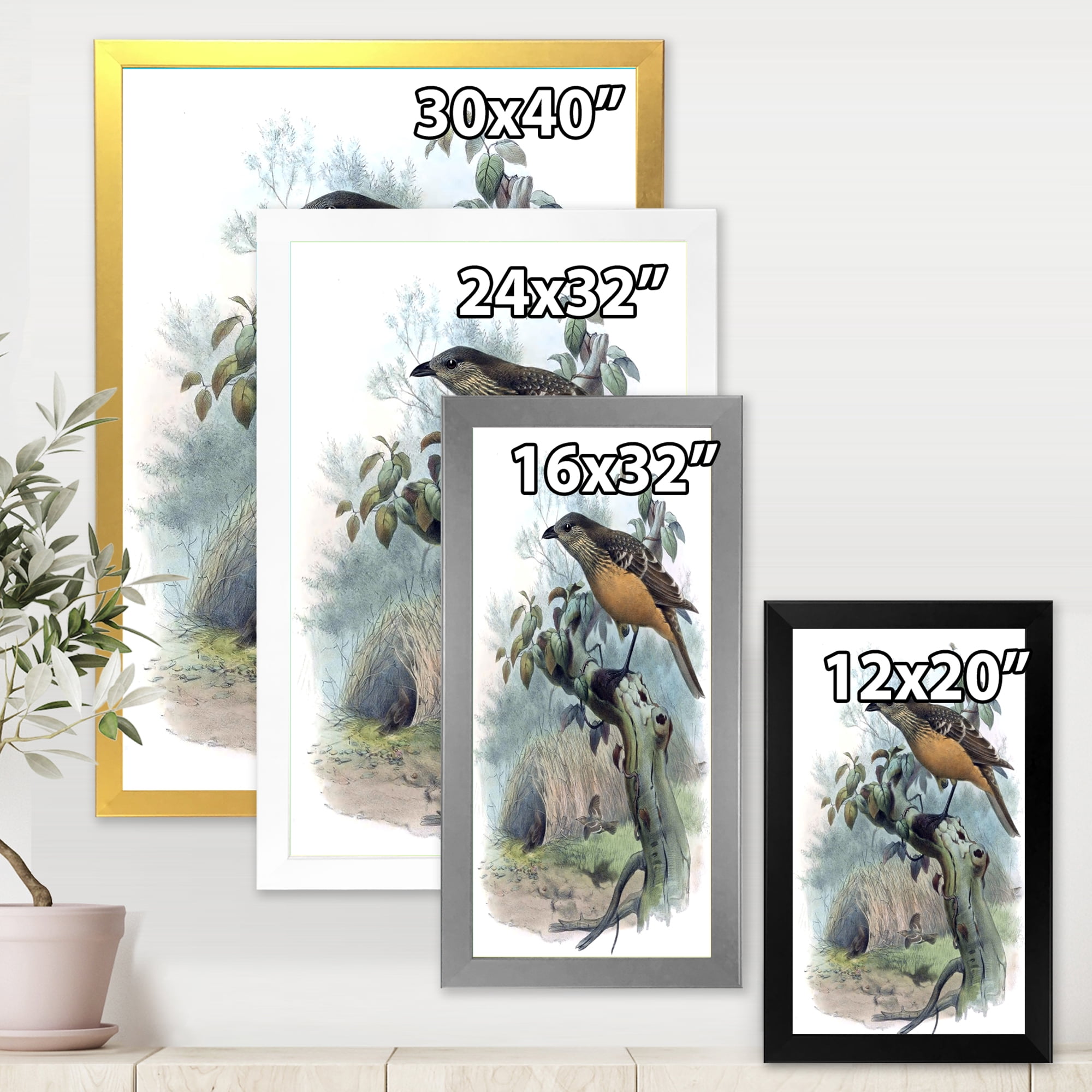 Designart 'The Paradise Birds on a Tree Branch' Traditional Framed Art Print