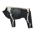 thumbnail image 2 of Disfraz de perro esqueleto de Halloween Salvador ropa de disfraz de mascota 3XL, 2 of 9