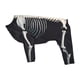 thumbnail image 2 of Disfraz de perro esqueleto de Halloween Yinane Disfraz de mascotas de Halloween 3XL, 2 of 8