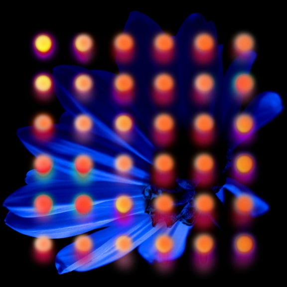 Anberlin - Nevertake - Music & Performance - Vinyl