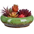 thumbnail image 2 of CUITING Plant Bowl Pots Nymphaeum 18.00X18.00X5.60CM Green, 2 of 3