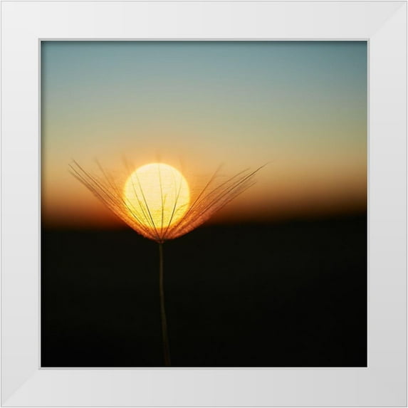 Riha, Milan 20x20 White Modern Wood Framed Museum Art Print Titled - Trapped in a downy tuft