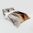 thumbnail image 3 of Ambesonne Colorful Bedding Set 3 Pcs, Old Feather, Twin, Multicolor, 3 of 3